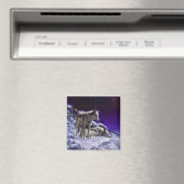 Grauwölfe im Winterschnee in der Nacht Magnet (In Situ (Geschirrspüler))