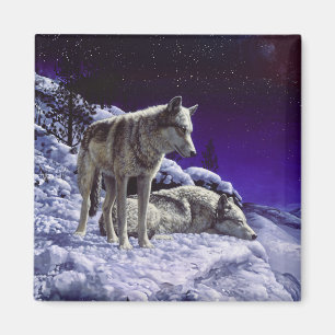 Grauwölfe im Winterschnee in der Nacht Magnet