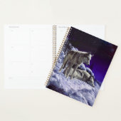 Grauwölfe im Winterschnee in der Nacht Planer (Anzeige)