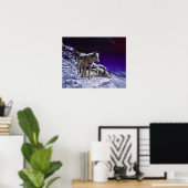Grauwölfe im Winterschnee in der Nacht Poster (Heimbüro)
