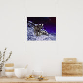 Grauwölfe im Winterschnee in der Nacht Poster (Küche)