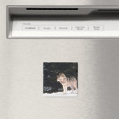 Grauwölfe Magnet (In Situ (Geschirrspüler))