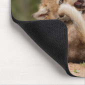 Grauwölfe Mousepad (Ecke)