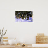 Grauwölftasche am Rande des verschneiten Waldes Poster (Küche)
