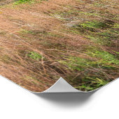 Grauwolkendünen und Mooersee-Landschaft Poster (Ecke)