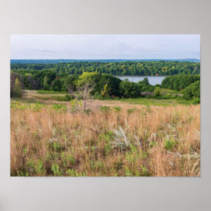 Grauwolkendünen und Mooersee-Landschaft Poster
