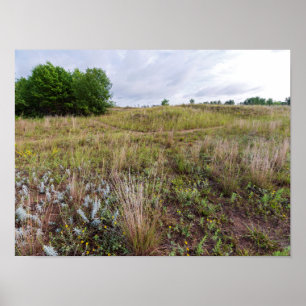 Grauwolkenlandschaft Poster