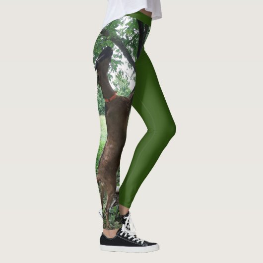 Grauziegen-Leggings Leggings (Rechts)