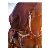 Graven Image Fotodruck (Vorne)