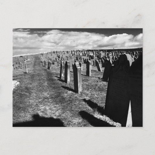 Gravestones, Whitby Abbey, Whitby, North Yorkshire Postkarte (Vorderseite)