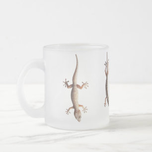 Gravity's Mirage: The Gecko's Dance on the Wall Mattglastasse