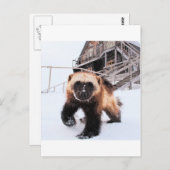 Gravur Postkarte (Vorne/Hinten)