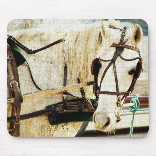 Gray Amish Buggy Horse Mousepad (Vorne)
