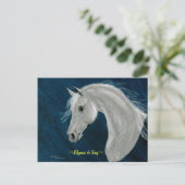 Gray Arabian Horse Postcard Postkarte (Stehend Vorderseite)