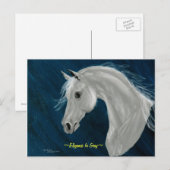 Gray Arabian Horse Postcard Postkarte (Vorne/Hinten)