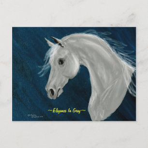 Gray Arabian Horse Postcard Postkarte