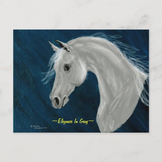 Gray Arabian Horse Postcard Postkarte (Vorderseite)