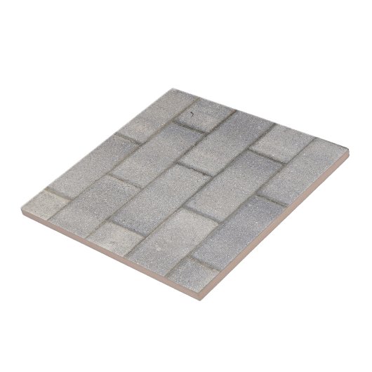 Gray Brick Cement Sidewalk Fliese (Seite)
