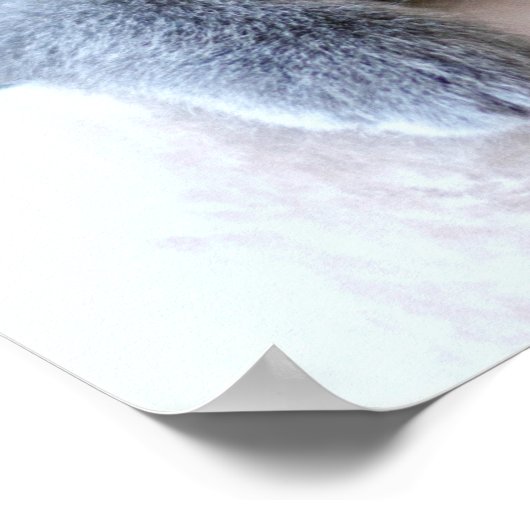 Gray British Shorthair Cat Poster (Ecke)