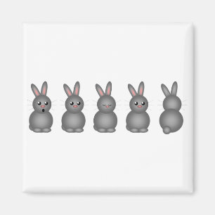 Gray Bunnies Magnet