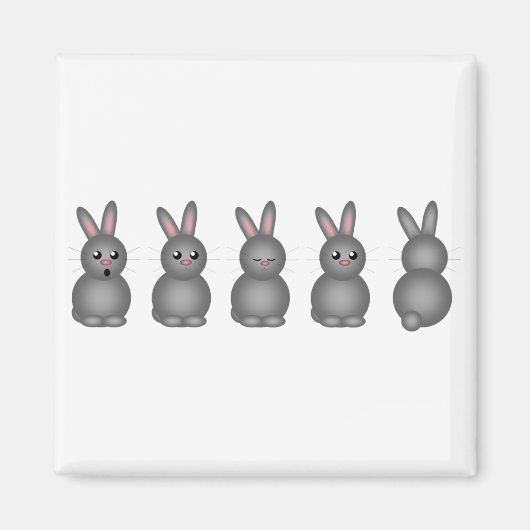 Gray Bunnies Magnet (Vorne)