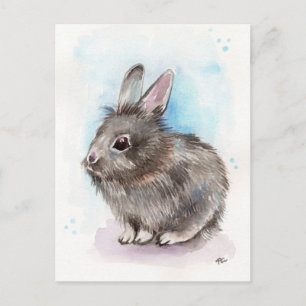 Gray Bunny Postkarte