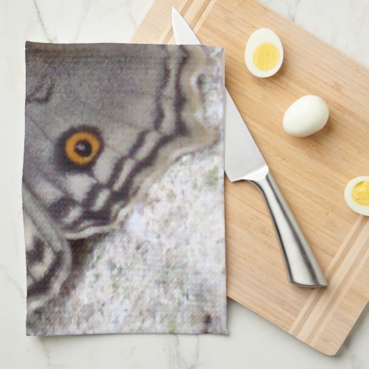 Gray Butterfly Image - Küche Handtuch (Viertel Falte)