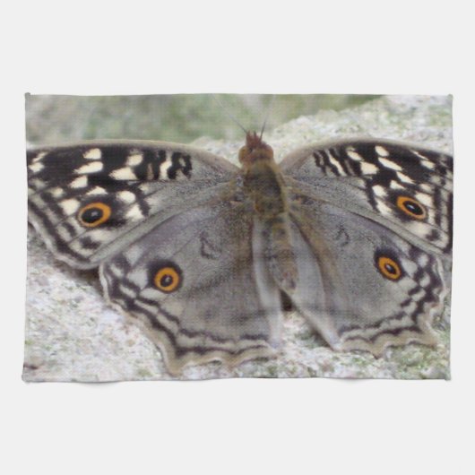 Gray Butterfly Image - Küche Handtuch (Horizontal)