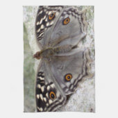 Gray Butterfly Image - Küche Handtuch (Vertikal)