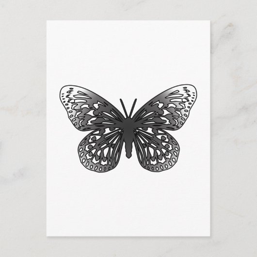 Gray Butterfly Postkarte (Vorderseite)