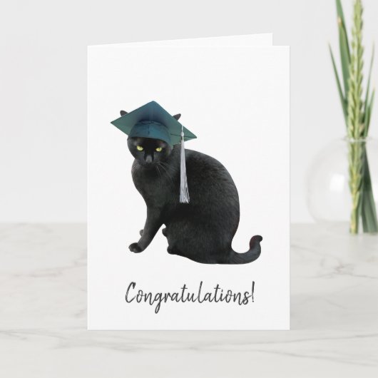 Gray Cat Abschluss Card Karte (Vorderseite)