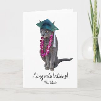 Gray Cat Abschluss Card Karte