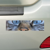 Gray Cat Autoaufkleber (Auf Auto)