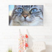 Gray Cat Banner (Insitu)