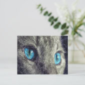 Gray Cat Blue Eyes Postkarte (Stehend Vorderseite)