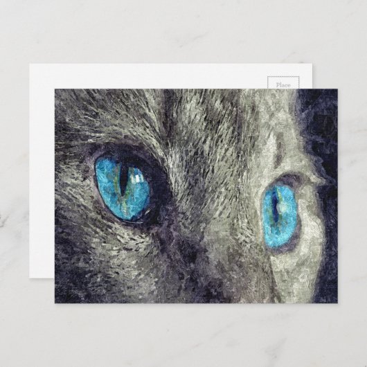 Gray Cat Blue Eyes Postkarte (Vorne/Hinten)
