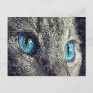 Gray Cat Blue Eyes Postkarte