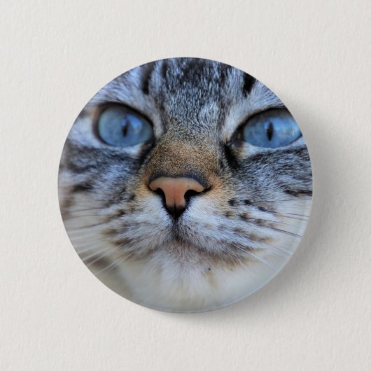 Gray Cat Button (Vorderseite)