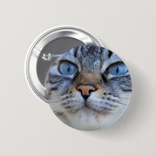 Gray Cat Button (Vorne & Hinten)