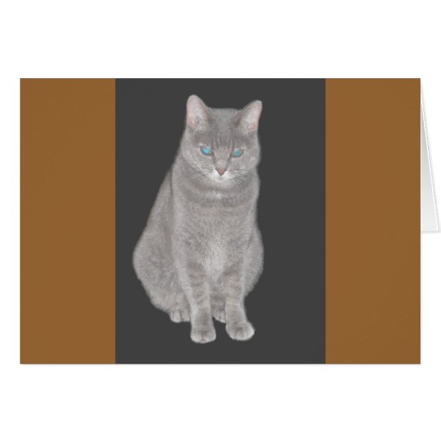 Gray Cat Card (Vorderseite (Horizontal))