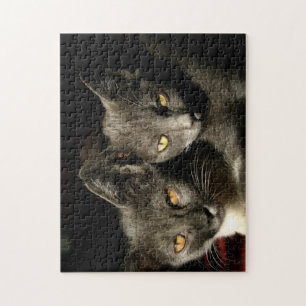 Gray Cat Copule Puzzle
