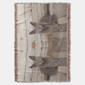 Gray Cat Decke (Vorderseite Vertikal)