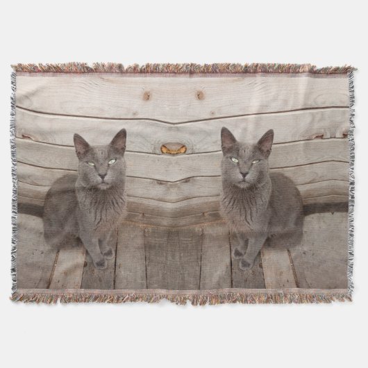Gray Cat Decke (Vorderseite)