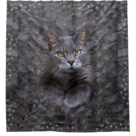 Gray Cat Duschvorhang
