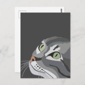 Gray Cat Face Postkarte (Vorne/Hinten)