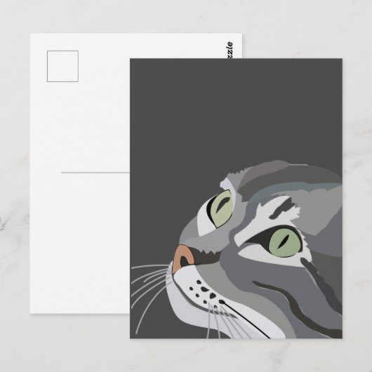 Gray Cat Face Postkarte (Vorne/Hinten)