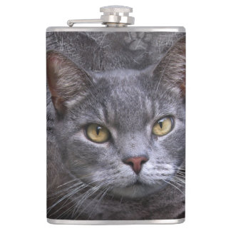 Gray Cat Flachmann