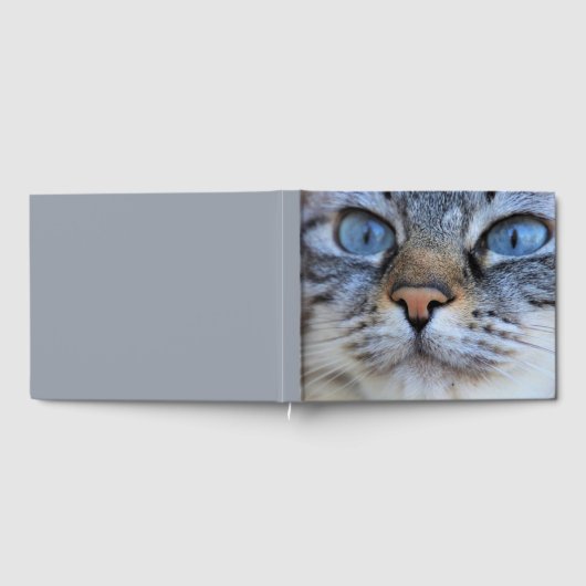 Gray Cat Gästebuch (Voll)