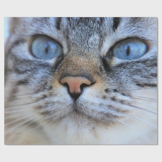 Gray Cat Geschenkpapier (Flach)