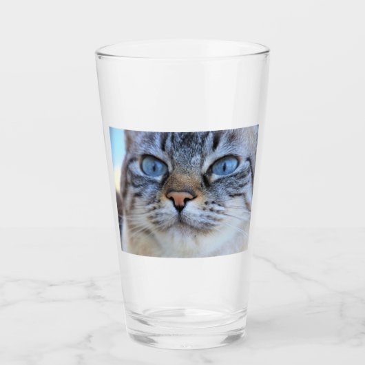 Gray Cat Glas (Vorderseite)